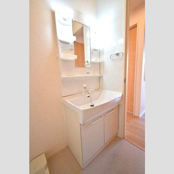 リバーハイム102号室 洗髪洗面化粧台