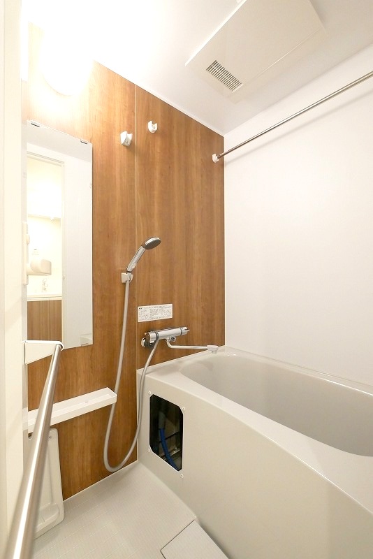 ラフィスタ新小岩Ⅲ1階 同建物別部屋の参考画像