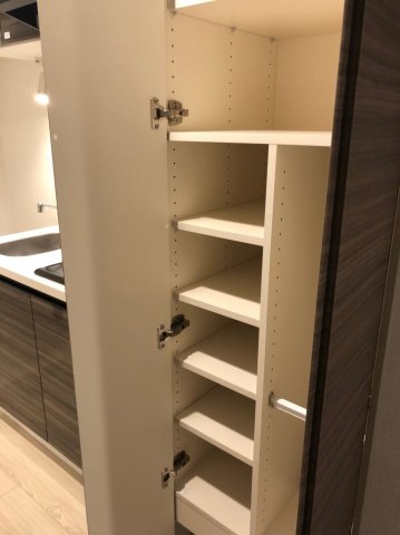 DIPS金町レジデンス912号室 収納