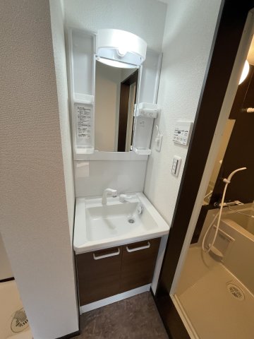 チャオ本厚木303号室 洗面