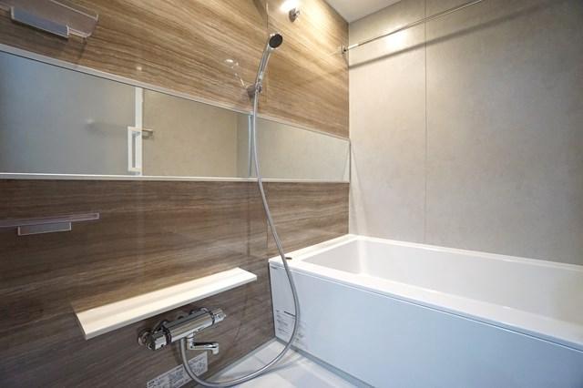 ALTERNA菊川Ⅱ 洗面所