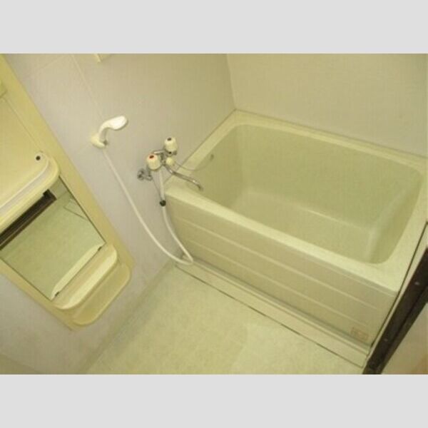 エーデルハイム　DEFD202号室 浴室