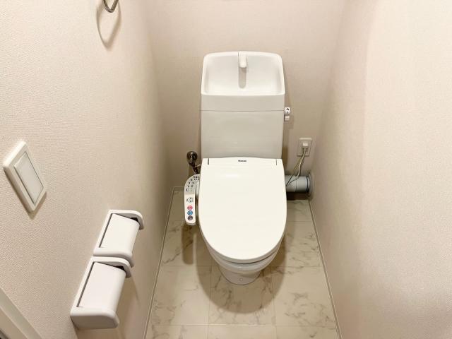 ジョリーメゾン（Ｊｏｌｉｅ　Ｍａｉｓｏｎ）303号室 トイレ