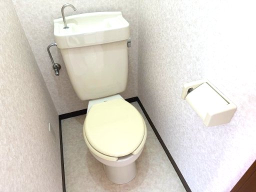 テラストーク相模原303号室 トイレ