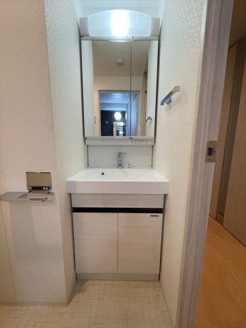 DIPS大山東町801号室 洗面