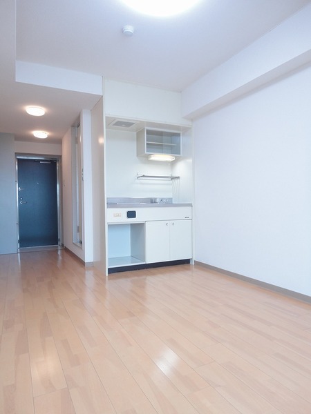 ライオンズマンション板橋区役所前1203号室 その他