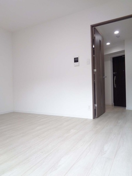 ラフィスタ横浜黄金町405号室 リビング