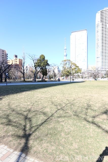 ＧＲＡＮ ＰＡＳＥＯ亀戸7階 【公園】錦糸公園まで1009ｍ