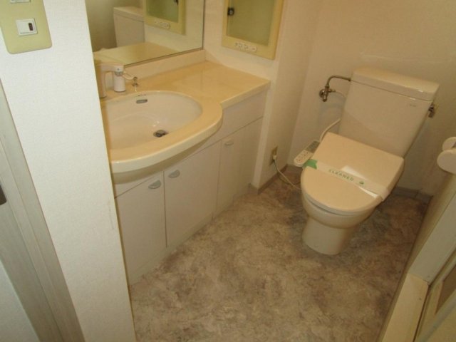 デュオ・スカーラ虎ノ門 洗面