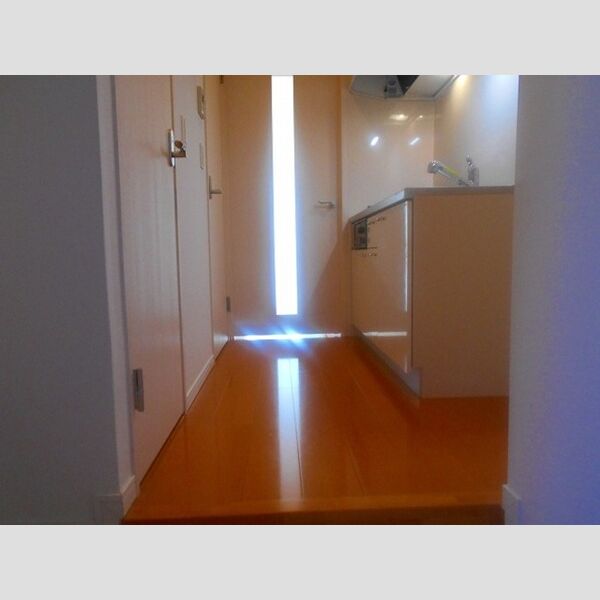 カーサ フェリーチェ 柴又105号室 K2帖