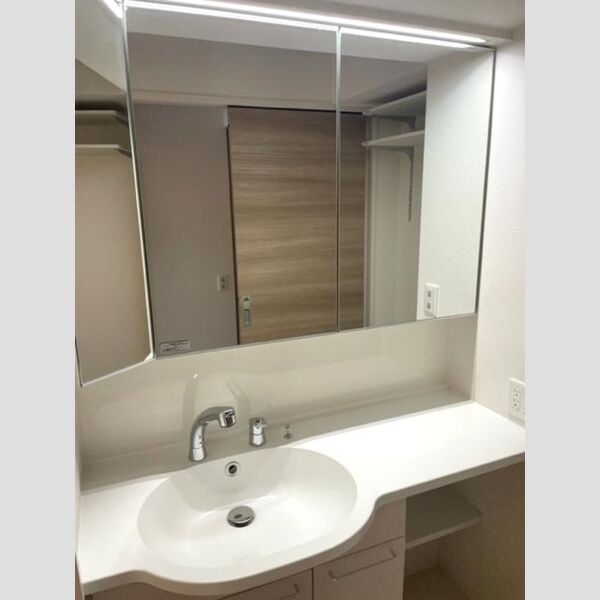 アヴァンス東大泉A303号室 洗髪洗面化粧台