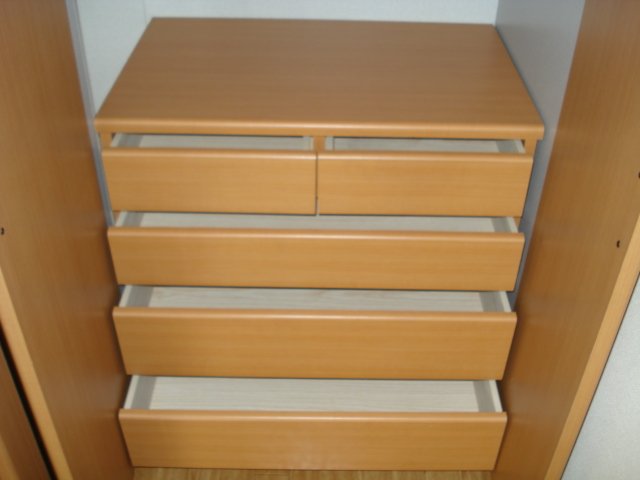 フリージャー茅ヶ崎202号室 クローゼット