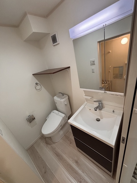 Ｈａｋｕｓｕｉ星川0202号室 洗面