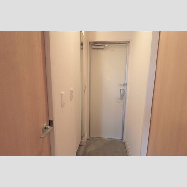 ロイジェントパークス レイクタウン Ⅲ　H108号室 玄関