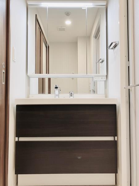 カールスルーエ吉祥寺2階 洗面