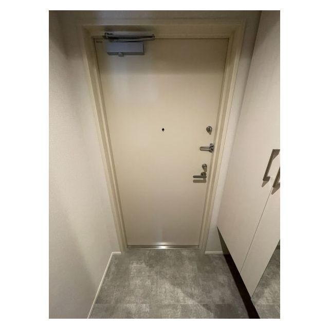 ドゥーエ亀戸Ⅱ1005号室 玄関