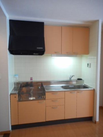 プレジールカネノ0310号室 キッチン