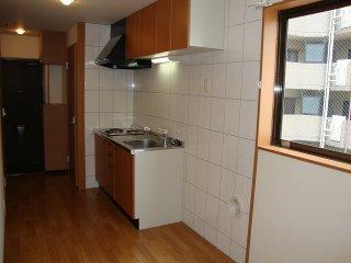 ＧＲＡＣＥ　ＣＯＵＲＴ　　303号室 キッチン