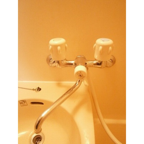 コーポ望月0101号室 蛇口