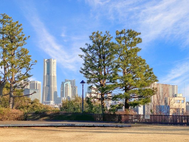 ザ・浅間台202号室 徒歩1分のところには、みはらしのよい公園があります。