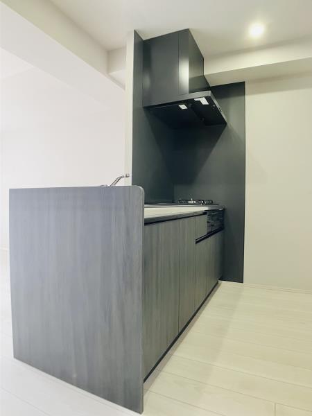 ステラコート川崎9階 キッチン