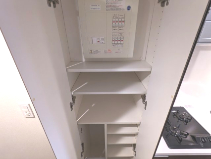 ケーディーエックスレジデンス豊洲427号室 収納