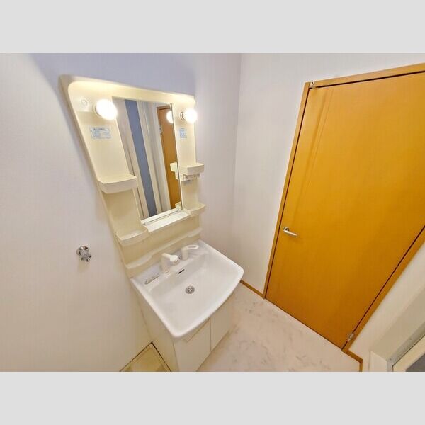 グレイスコートⅡ101号室 洗髪洗面化粧台