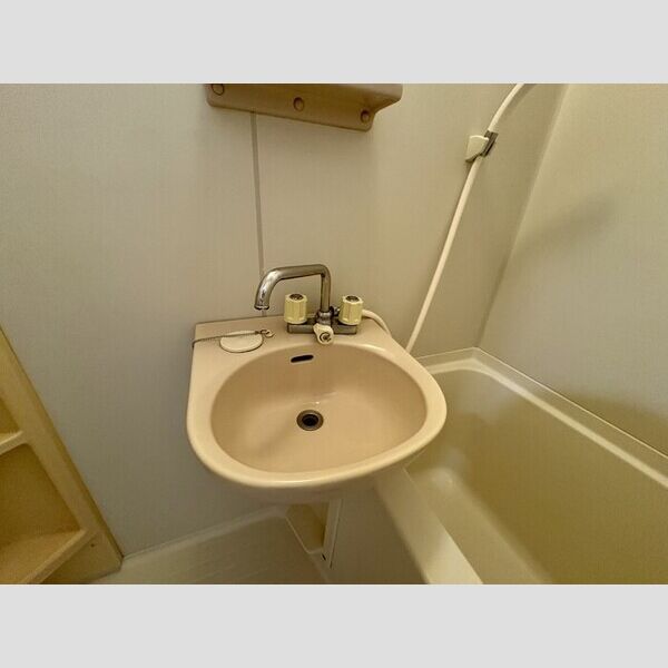 ロイヤルコート　壱番館 洗面