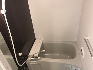 ラウレア　ヒレ バス