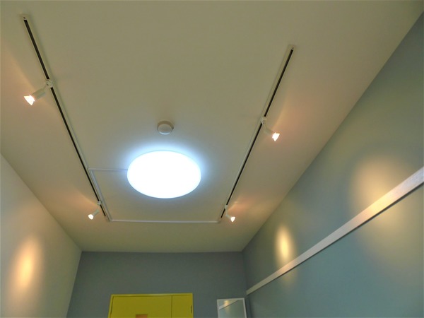 フジコーポかしわ台306号室 レールライト