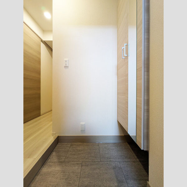 ラピスラズリ東林間 玄関