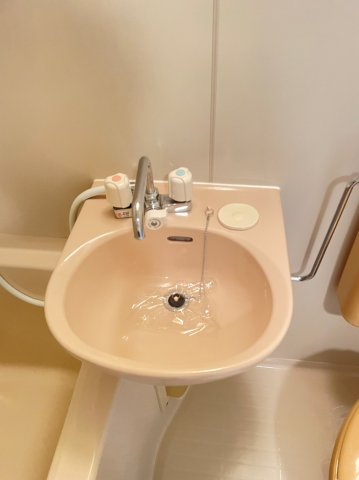 アショカニーローズ館201号室 洗面