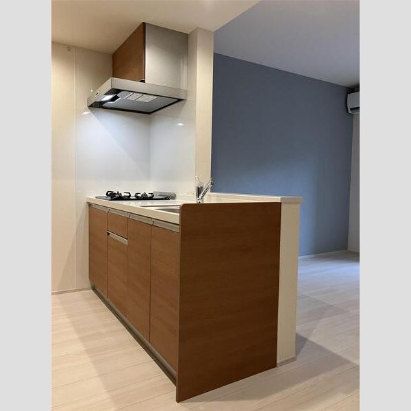 リーブルファイン若葉桜木102号室 キッチン