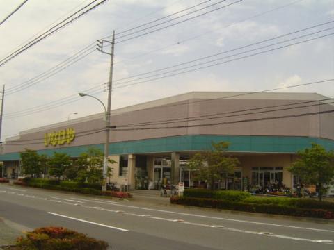 ファミール　パレス いなげやあきる野雨間店