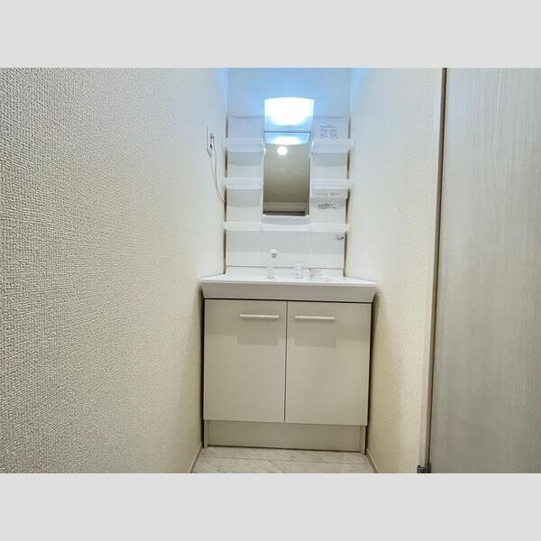 リーブルファイン相模原共和Ⅱ202号室 洗面