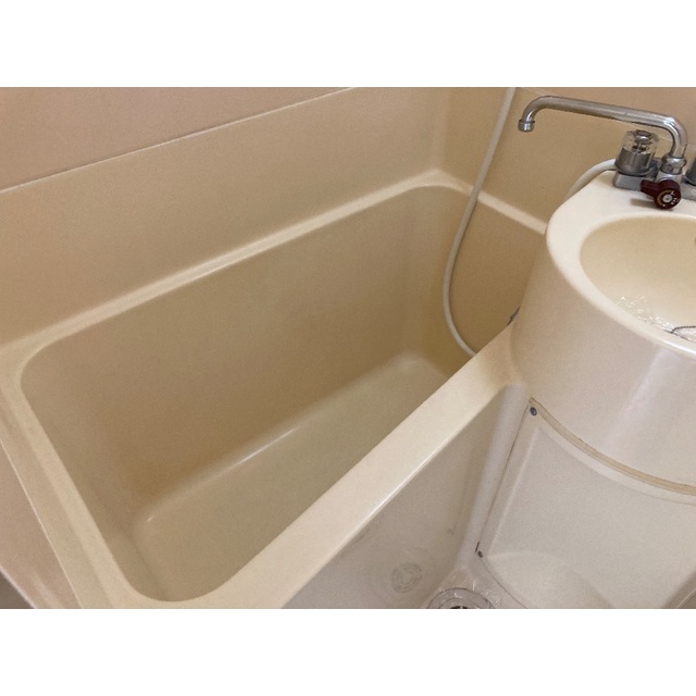 プラザ・ドゥ・シュバリエ201号室 お風呂