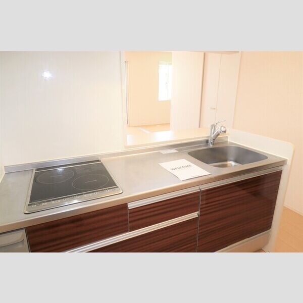 ショウリュウ秋津 2口IHコンロ