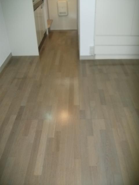 アルカディア中野 居室、リビング