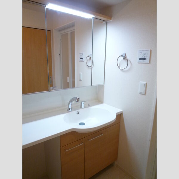 グランドゥール305号室 洗面室