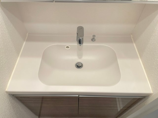 DIPS高田馬場駅前302号室 洗面