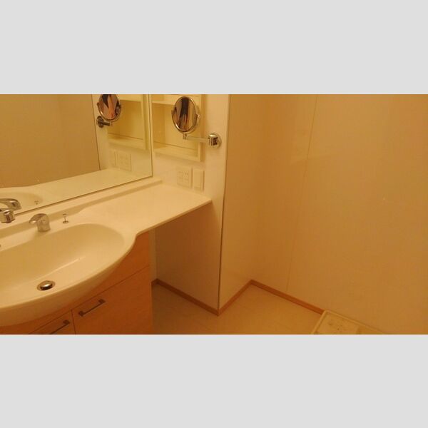 ルミエール ド エスポワール　Ⅱ201号室 洗面