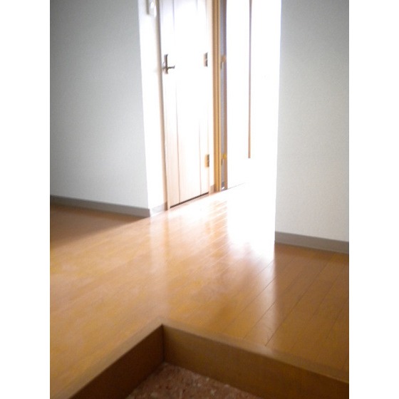 プリマヴェーラ問屋町0506号室 玄関