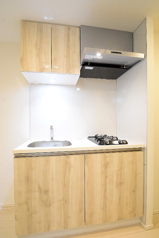 ステージグランデ本千葉9階 ※カラー異なります