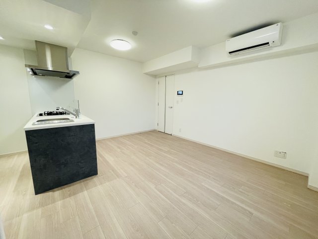 SYFORME NEXT IKEBUKURO WEST304号室 リビング