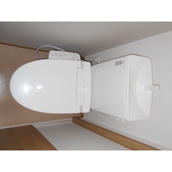 セカンドダウン トイレ