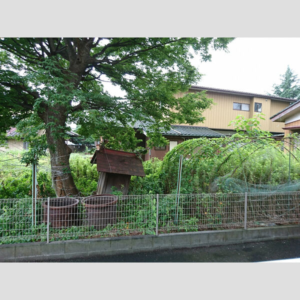 インペリアルN・Y101号室 眺望