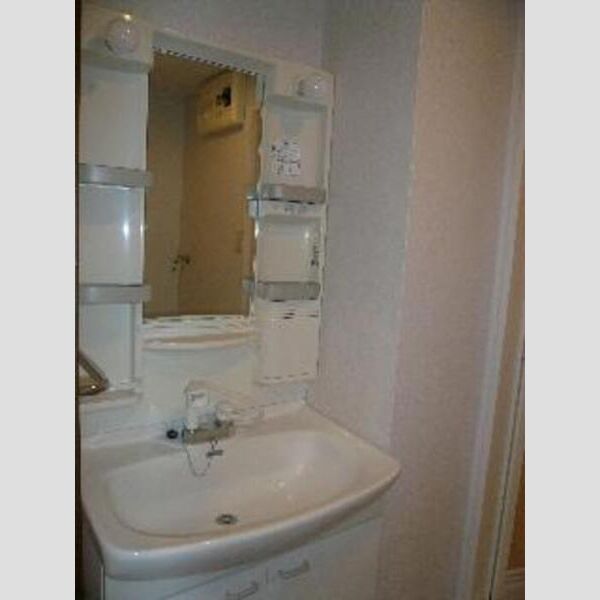 ビューパークヤマモ307号室 ドレッサー