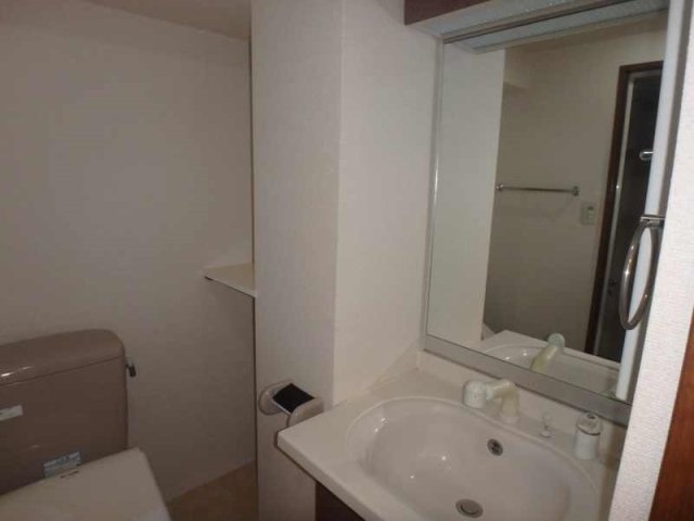 シンシア六本木 洗面