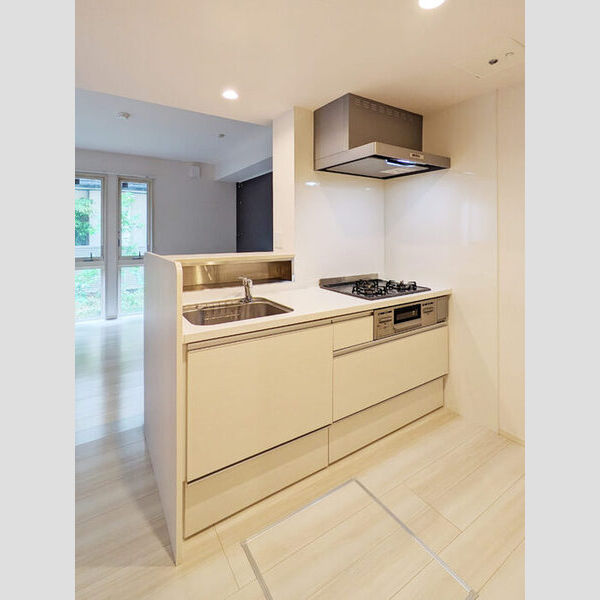 Maison桜の杜102号室 102号室　システムキッチン