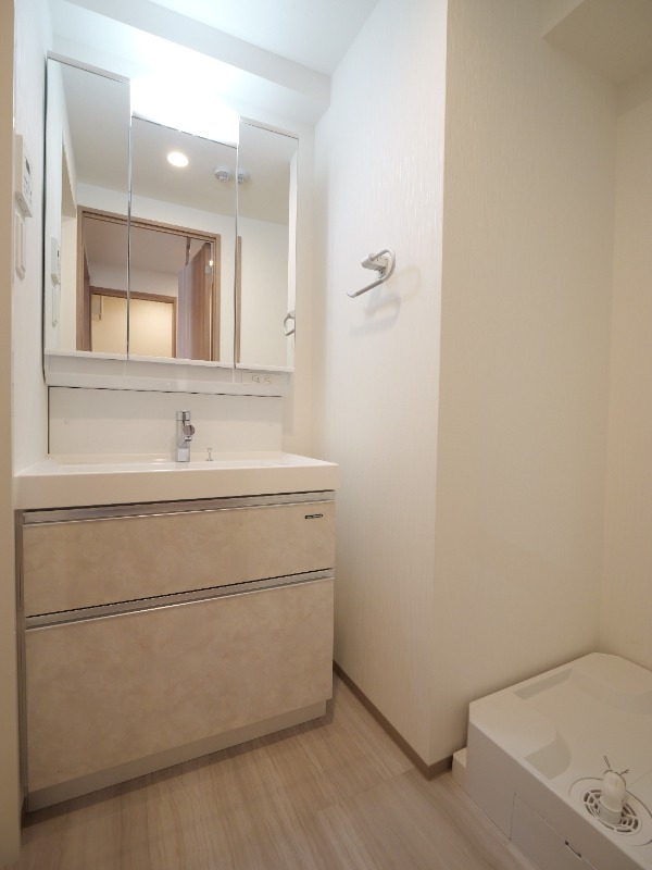 プレジオ川口ASIAN7階 洗面